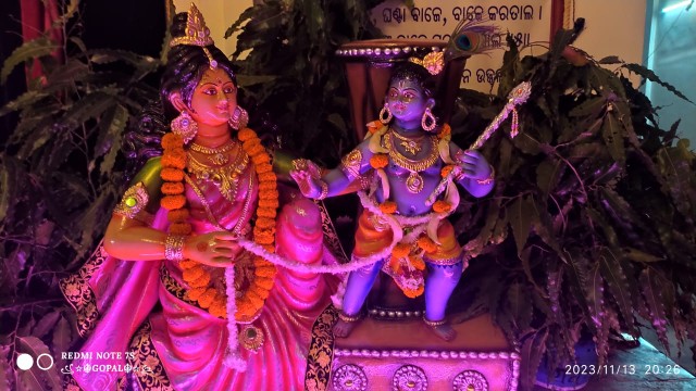 Damodara Krishna